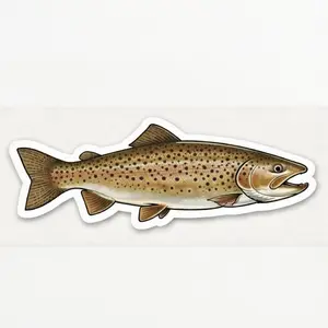 Brown Trout Sticker - 5" x 1.5"