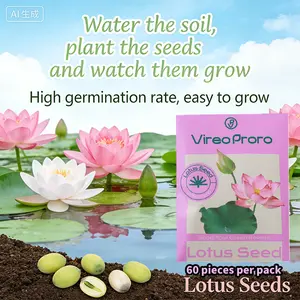 Livestream-Exclusive Link-Lotus Seeds Aquatic Plant Germination Pond Bowl Growing Ornamental Water Lily Non GMO Home Garden Landscaping Fresh Natural Planting Seeds