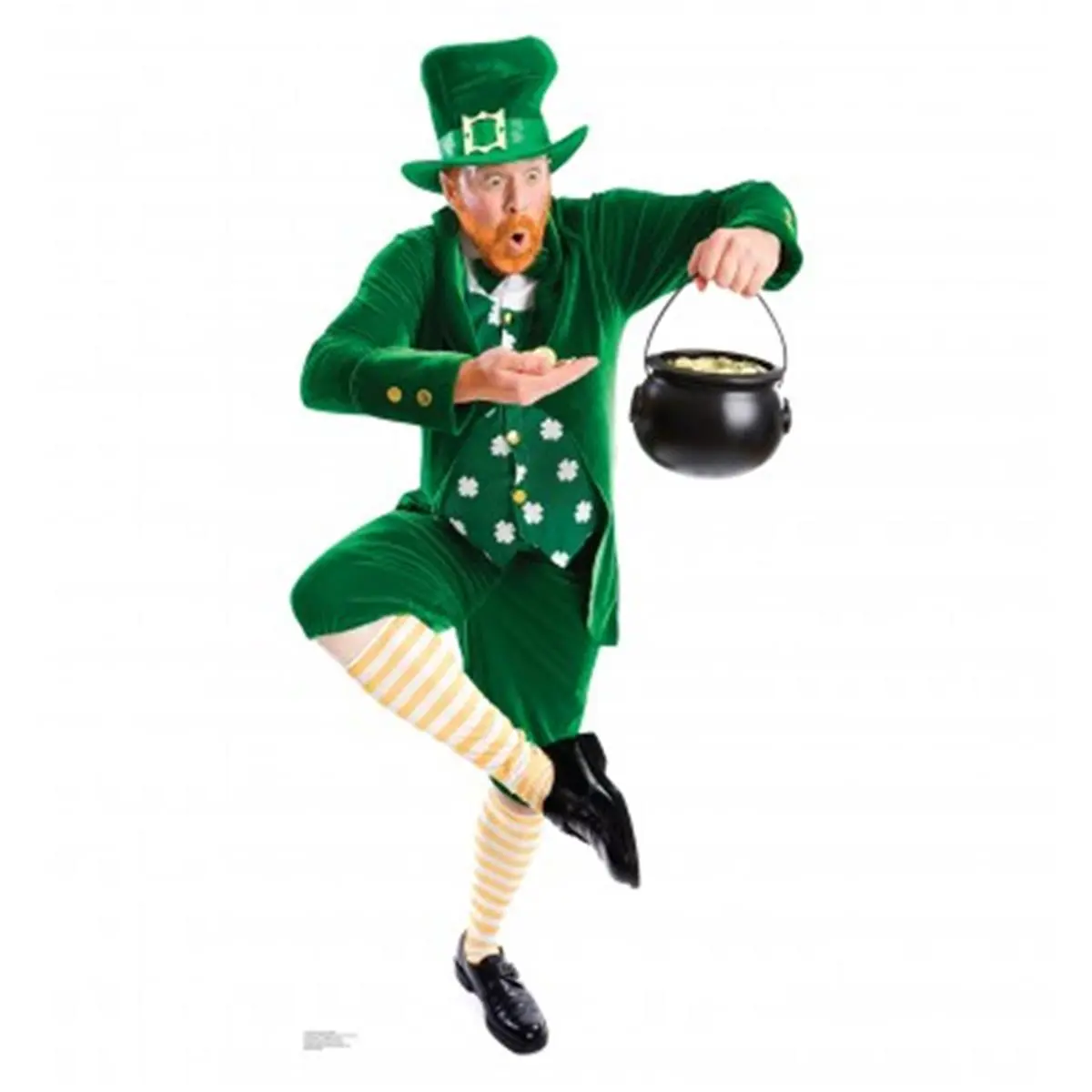 212 MAIN Advanced Graphics Leprechaun Pot of Gold Cardboard Cutout Standup - 65 x 33 in Large Decorative Irish Room Decor, Home Supplies for St. Paddy’s Day