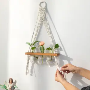 Boho Style Wall Hanging Planter for Hydroponic Plants, Set of 3 DIY Macrame Plant Hanger Wooden Frame Stand, Modern Wall Flower Pot  Decoration
