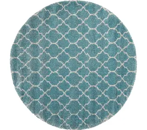 Nourison Amore 3'11" x 3'11" Moroccan Shag Round Rug