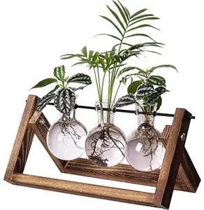 Plant Terrarium Propagation Station - 3 Glass Bulb Vases with Retro Wooden Stand Boho Desktop Planter for Hydroponics Home Garden Indoor Home Office Decor Unique Gifts for Women & Plant Lovers