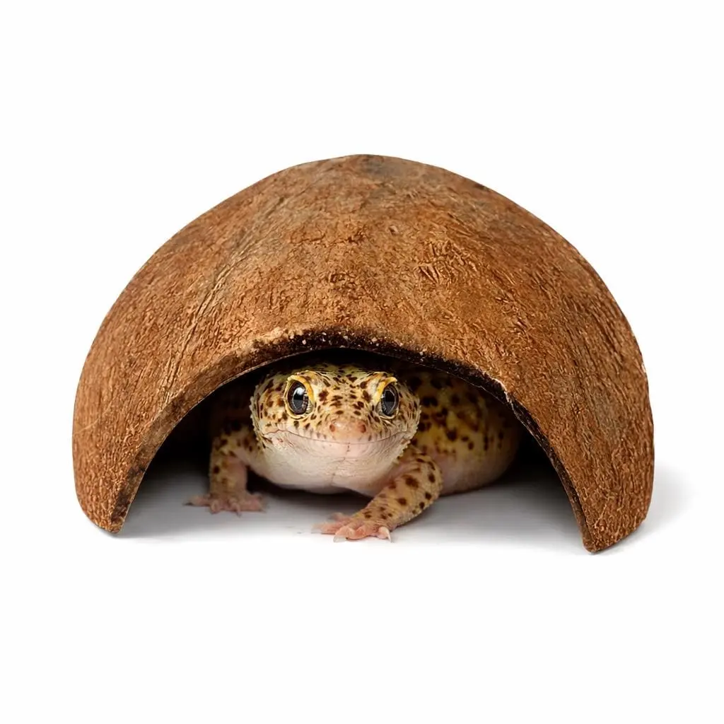 Natural Coconut Reptile Hide Cave, Bioactive Terrarium Habitat Decor