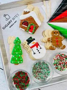 Christmas Cookie Decorating Kit, Christmas DIY Cookie Kit, (Large Cookies), ***INCLUDES 25 ITEMS*** With 3 Deluxe Sprinkles and 5 Icing Bags.