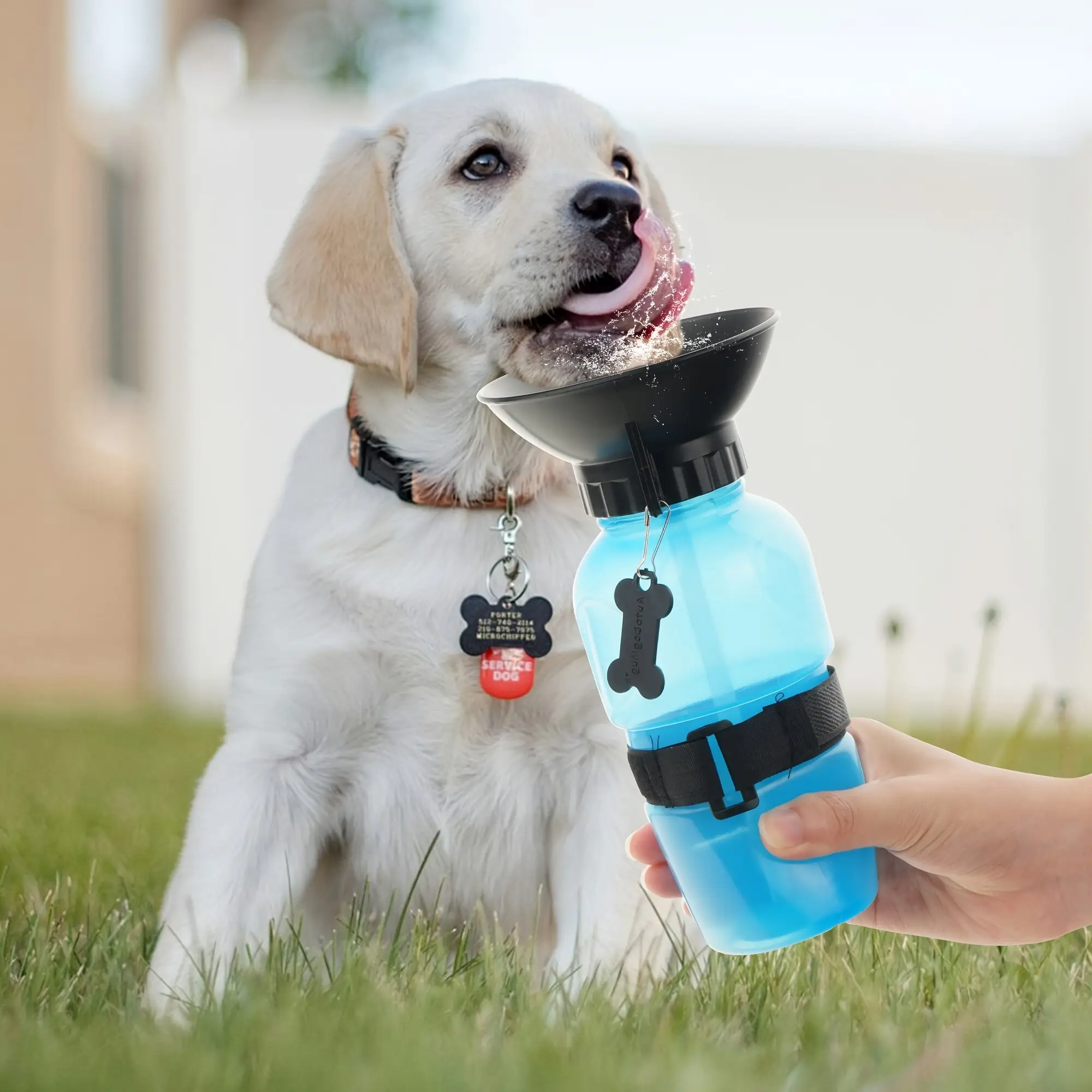 Leak-Proof Dog Water Bottle – Portable Pet Drinker for Outdoor Adventures, Walks, and Travel