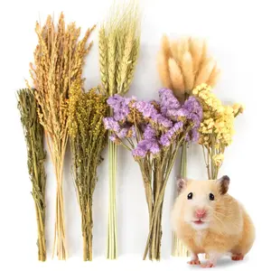 60Pcs Nature Flower Herb Hamster Bedding - Cage Enclosure Habitat Decor Mate Small Animal Natural Ear of Grain Sprays for Syrian Dwarf Hamsters Gerbils Rabbit Other Pets HAMSTER SPRAYS