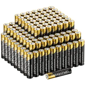 ENERGYPORT 100-Count Triple AAA Batteries, Ultra Long Lasting LR03 Alkaline Battery, High Capacity for Home and Office, 10-Year Shelf Life