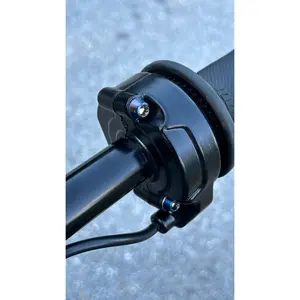 Titanium coated Surron throttle bolts