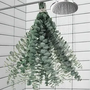 11 PCS Real Dried Eucalyptus for Shower Hanging Decor-Large 17 Stems from Fresh Leaves for Green Home Bathroom Vase Decor, Plants Set Decoration