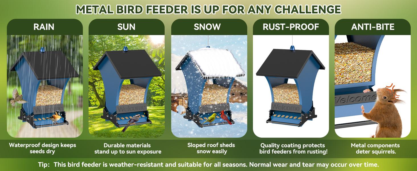 Wildpark 2 PACK Squirrel-Proof Bird Feeders – Durable, Vibrant Orange, Perfect for Cardinals & Chickadees – Ideal Gift for Bird Lovers, Moms & Grandmas