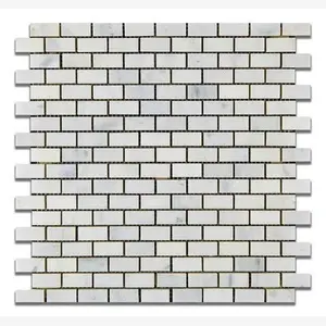 Calacatta Prestige (Asian Statuary) Baby Brick 5/8x1 1/4 Polished/Honed Tile Sample