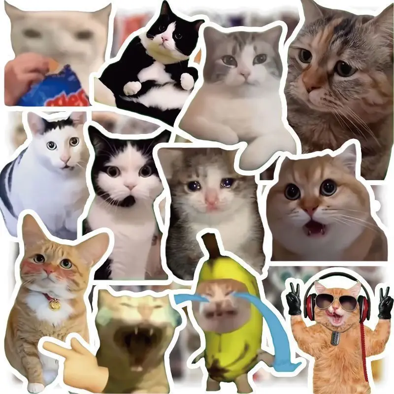 100-Piece Cat Meme Stickers - Cute Funny Quirky Kitty Emoji Stickers, Internet Viral Meme Designs, Animal Scrapbook Decals for Water Bottles, Refrigerators, Books, Laptops & Luggage, Sticker Packs