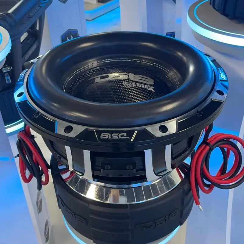 DS18 12-Inch Hooligan Subwoofer, Car Audio Component for Automotive Sound Systems