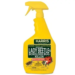 Asian Lady Beetle and Box Elder Killer, Liquid Spray with Odorless and Non-Staining Extended Residual Kill Formula (32oz)