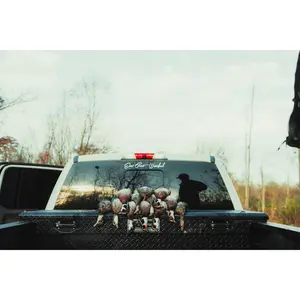 12" ECW Script Decal