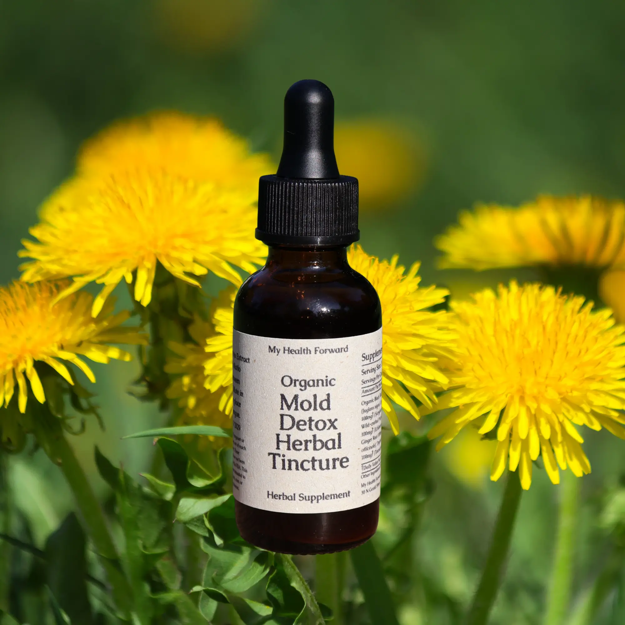 Organic Mold Detox Herbal Tincture - Herbs for Detox Support