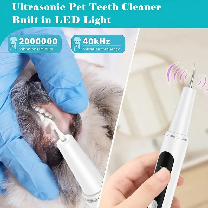 [Electric Tooth Cleaner Kit] 4 Modes Electric Tooth Cleaner - 1 Pet Care Kit with 2 Cleaning Heads, Mirror, USB Charger