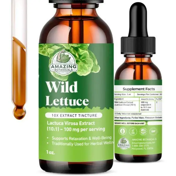 Amazing Botanicals Wild Lettuce 10X Extract Liquid Tincture, 30000 mg Organic Herbal Dietary Supplement, Vegan Organic Focus Support, Herbal Supplement, Organic Focus Supplement