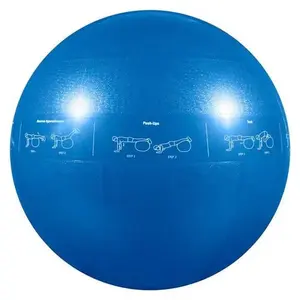 GoFit - Exercise Ball