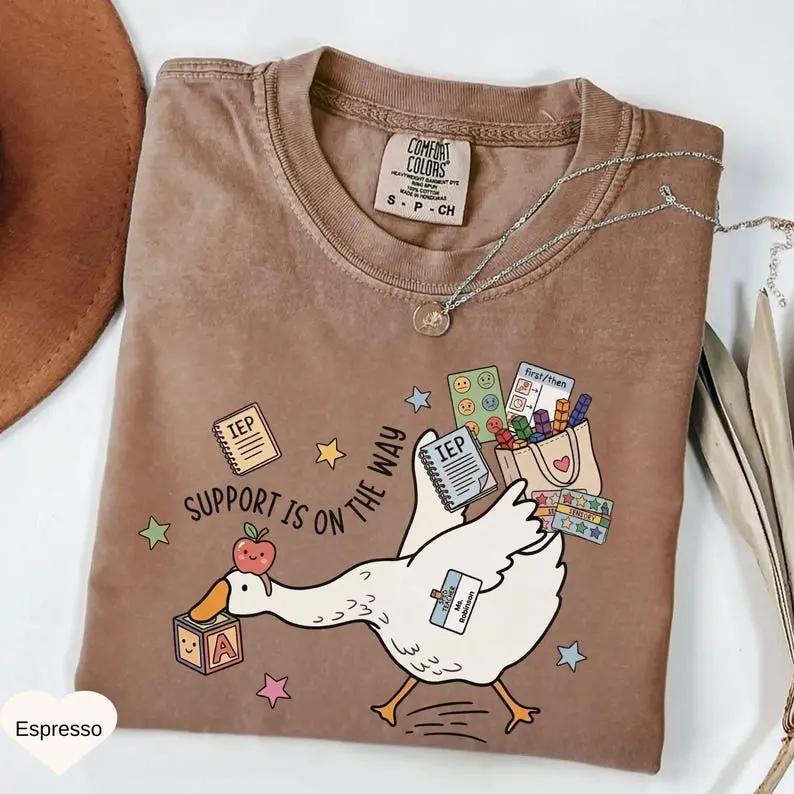 Comfort Colors Silly Goose Special Education Teacher TShirt, Funny Special Education Teacher Gift, SPED Teacher T-Shirt, Special Ed Team TShirt – TrendWear USA