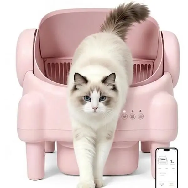 Automatic Litter box