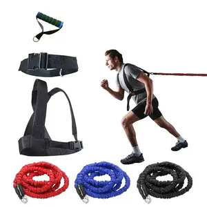 Resistance Band Set, 1 Set 2m Elastic Band, Waist Belt, Back Strap & Handles, Fitness Equipment for Home Gym Workout, Workout Straps