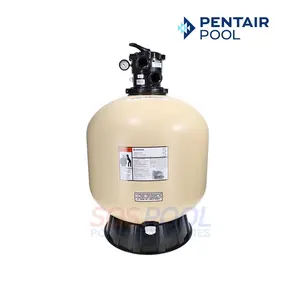 Pentair Tagelus TA100D 30" Top Mount Sand Filter | EC-145240