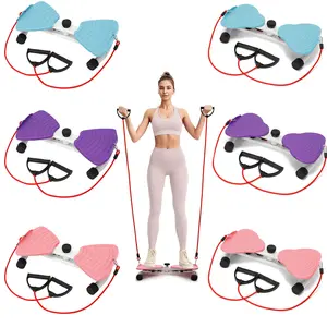Waist Twist Workout Machine, Ab Machine with Resistance Bands Waist Core Ab Exercise Foot Massage Noiseless Home Gym Exercise Equipment for Women Men Adjustable Foldable Weight Bench Compact Multi-Functional Fitness Station ab  roller  wheel