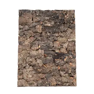 Rough Cork Background for Reptile Enclosures