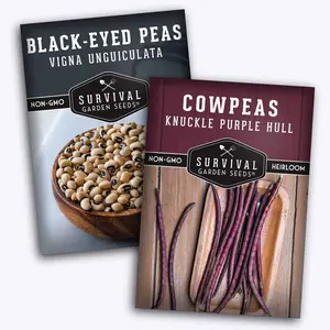Cow Pea Seed Collection - 2 Nutritious Varieties