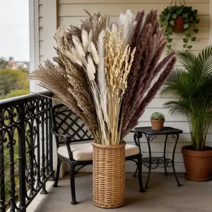 More Natural Than Artificial Grass: Dried Pampas Grass