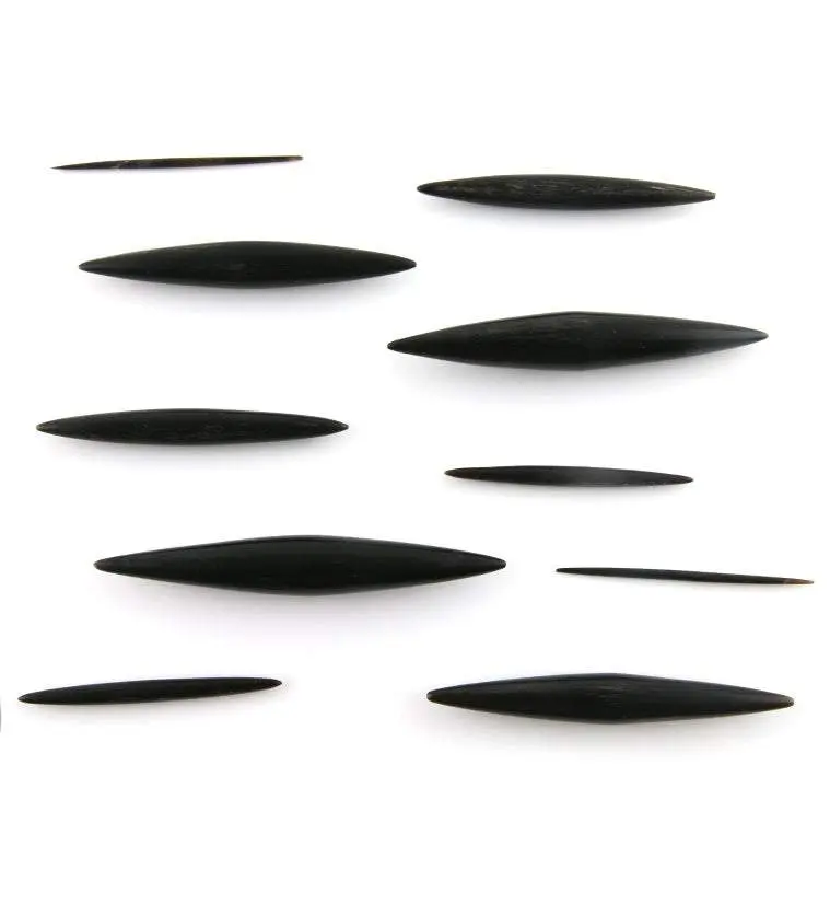 Black Horn Septum Spike