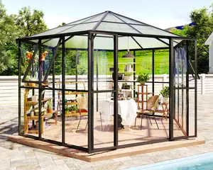 [Ships in 2 Boxes] VanAcc 12x10x8 FT Hexagonal Greenhouse for Outdoors, Quick-Connectors, Aluminum Frame with 2 Vents, 2 Swing Doors, and Walk-in Design for Garden or Backyard, Black
