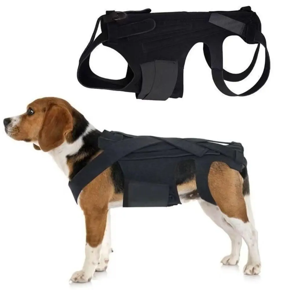 Adjustable Nylon Dog Back Support Vest Harness - Supportive Fit, Breathable, Comfortable Pet Mobility Aid, Spine Protector, Neck & Emotion Soothing Apparel for Dogs (Size S, Multi-Size Option)