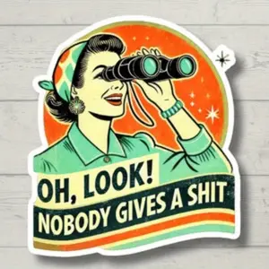5pcs Nobody Gives a Shit, Retro, Funny Stickers, Sarcasm Stickers, Sarcastic Stickers, Funny Laptop Sticker, Funny Decals, Water Bottle Stickers, Sticker Sheets
