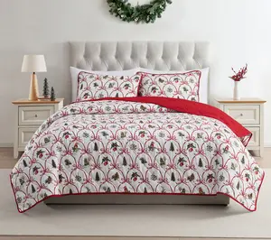 VCNY Home Multi Christmas Bow Microfiber Quilt Set, Full/Queen