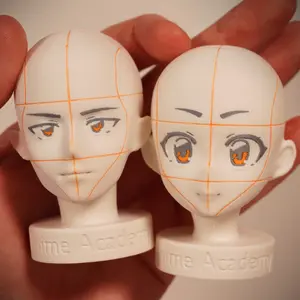 Anime Academy - Head Reference Models - Set of 2 Detailed Heads for Artistic Reference Angles and Lighting