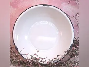 Enamelware Basin 12"