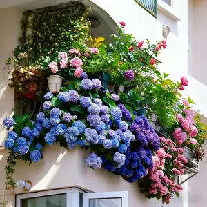 100+Mixed Hydrangea Seeds - Fast-Growing Shrub Flowers for Beautiful Outdoor Garden Décor, Fragrant Blooms, Easy to Grow, Perfect for Landscaping, Home & Garden Lovers, Ideal for Gifts