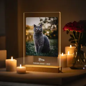 Personalized Dog Memorial Gifts, Custom Dog Memorial Night Lights for Pet Lover, Pet Loss Sympathy Gifts, Cat memorial gifts
