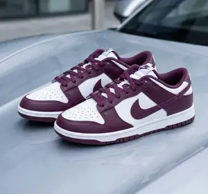 Nike Dunk Low White Viotech DV0833-107 Mens Fashion Sneakers New