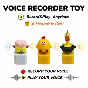 Voice Recording Keychain, summervibes,Personalized voice gift, Keychain Stress Relief Toy With Recording Sound & LED Light,Gift For Friend&Family
