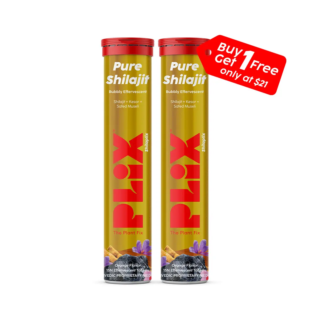PLIX - THE PLANT FIX, Shilajit Effervescent Tablets, 500mg per 2 Tablets, For Vitality & Stamina, Orange Flavored, 15 Tablets (Pack of 1)