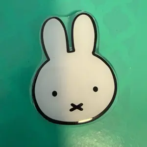 Pop socket