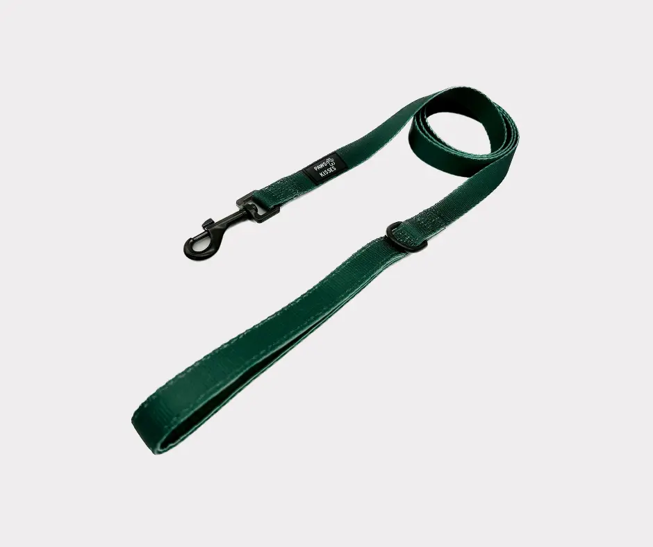 Leash - Sweater Weather