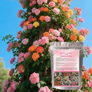 200PCS Climbing Rose Seeds Mixed - Non-GMO Perennial Vine Flower for Garden Decor, Arch Fence Trellis, Easy to Plant Outdoor Blooming Seeds for DIY Gardeners, Home Landscaping
