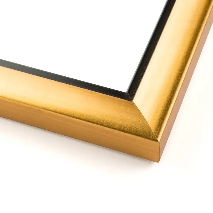16x22 Simple Gold Picture Frame - UV Acrylic, Foam Board Backing, Hanging Hardware