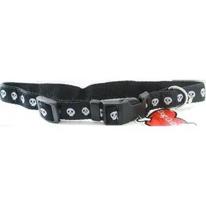 Skull Dog Collar