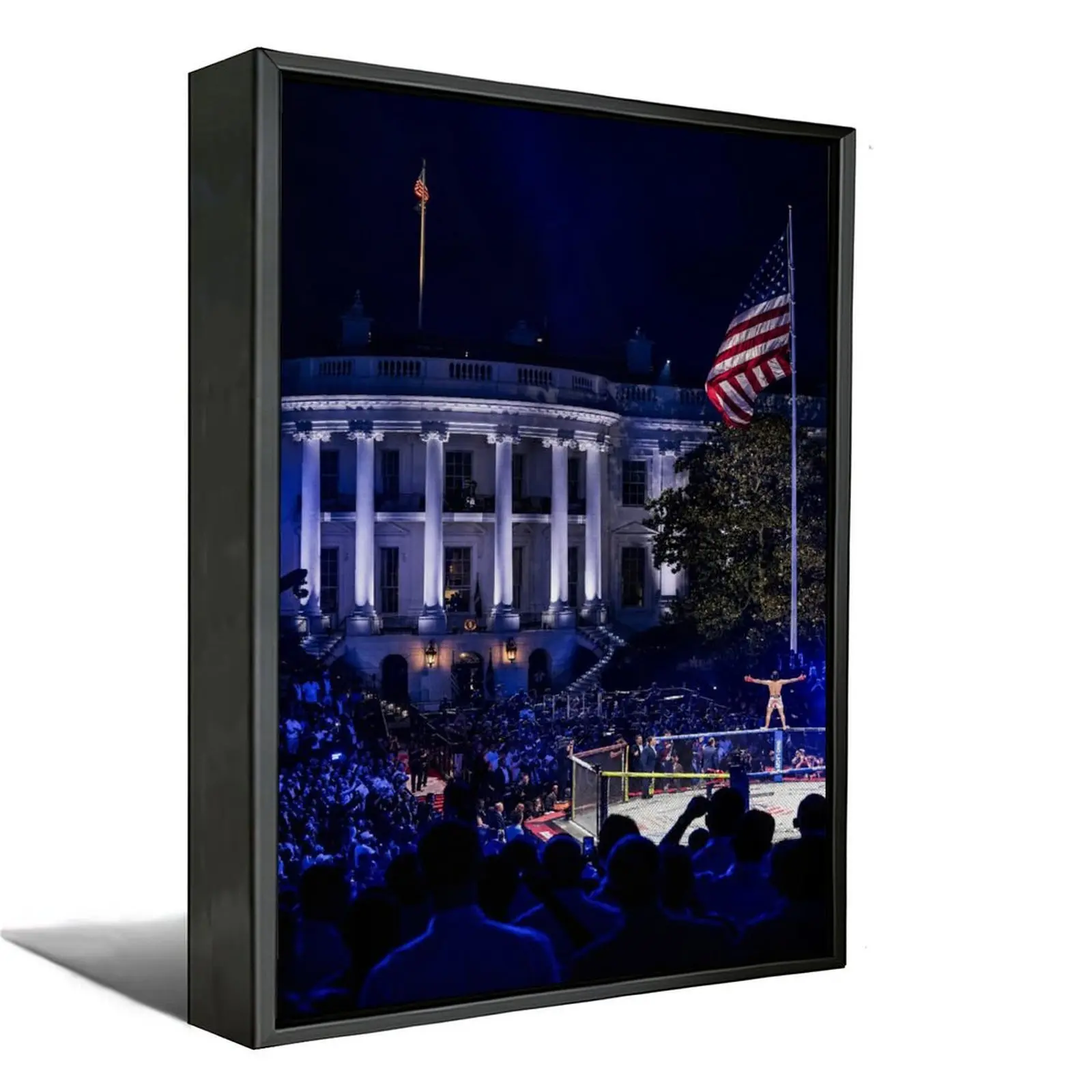 White House Flyover MMA VerticalMatte Poster -Fight Night - Freedom 250 - USA -Framed/Unframed Multiple Sizes- Gift for Men and Women