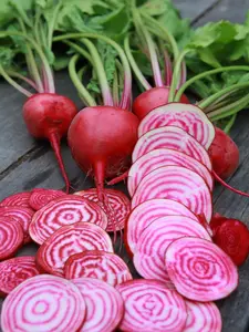 Chioggia Beet (Candy Cane Striped) Seeds